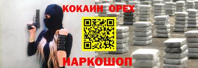 бошки Кингисепп