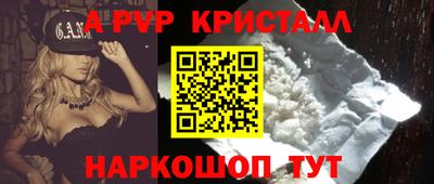 бошки Кингисепп