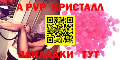 бошки Кингисепп